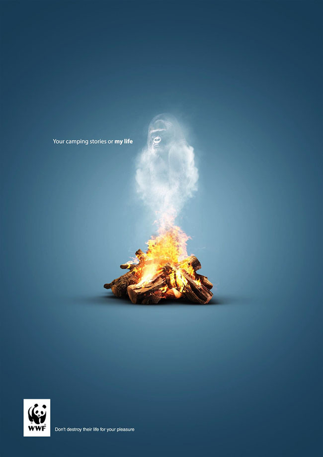 埃及WWF保護(hù)動物公益廣告招貼設(shè)計